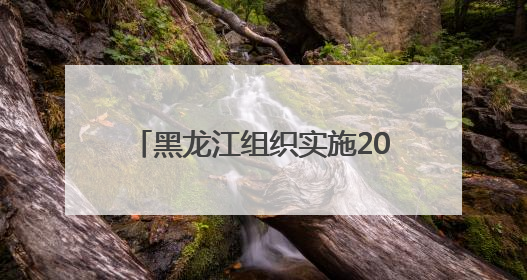 黑龙江组织实施2025年“振兴龙江”专项定向就业招生计划