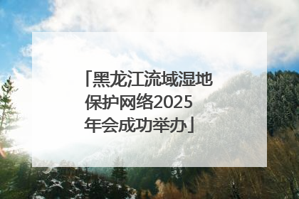 黑龙江流域湿地保护网络2025年会成功举办