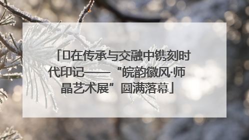 ﻿在传承与交融中镌刻时代印记——“皖韵徽风·师晶艺术展”圆满落幕