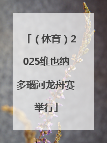 （体育）2025维也纳多瑙河龙舟赛举行