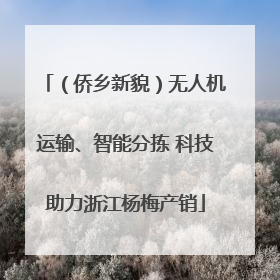 （侨乡新貌）无人机运输、智能分拣 科技助力浙江杨梅产销