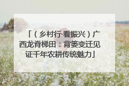 （乡村行·看振兴）广西龙脊梯田：背篓变迁见证千年农耕传统魅力