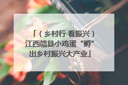 （乡村行·看振兴）江西赣县小鸡蛋“孵”出乡村振兴大产业