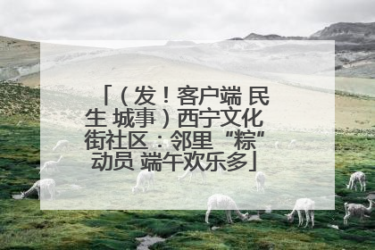 （发！客户端 民生 城事）西宁文化街社区：邻里“粽”动员 端午欢乐多