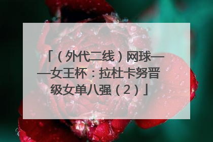 （外代二线）网球——女王杯：拉杜卡努晋级女单八强（2）