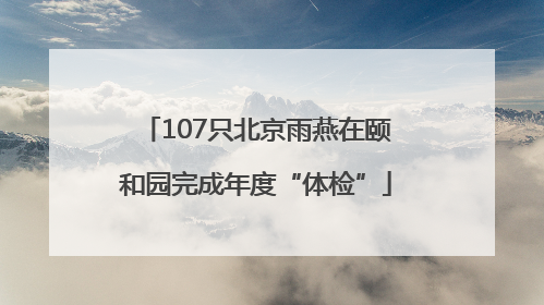 107只北京雨燕在颐和园完成年度“体检”