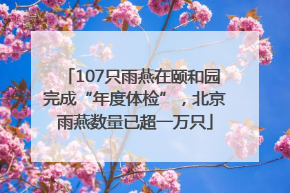 107只雨燕在颐和园完成“年度体检”，北京雨燕数量已超一万只