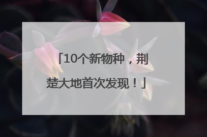 10个新物种，荆楚大地首次发现！
