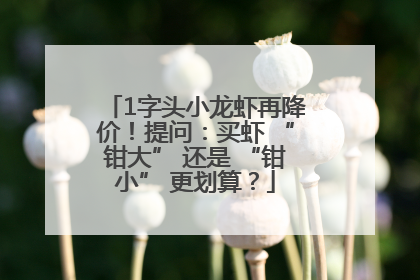 1字头小龙虾再降价！提问：买虾 “钳大” 还是 “钳小” 更划算？