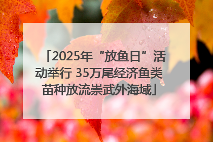 2025年“放鱼日”活动举行 35万尾经济鱼类苗种放流崇武外海域