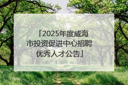2025年度威海市投资促进中心招聘优秀人才公告