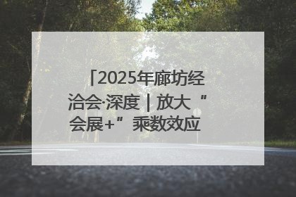 2025年廊坊经洽会·深度｜放大“会展+”乘数效应 打造消费新场景