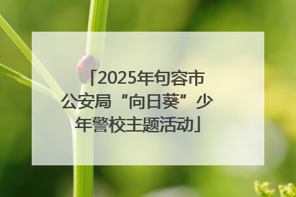 2025年句容市公安局“向日葵”少年警校主题活动