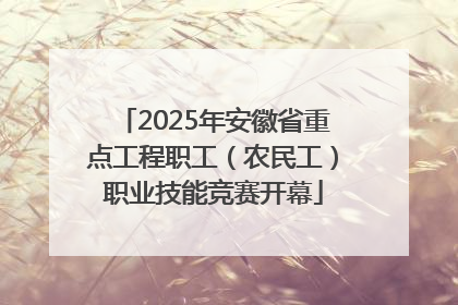 2025年安徽省重点工程职工（农民工）职业技能竞赛开幕
