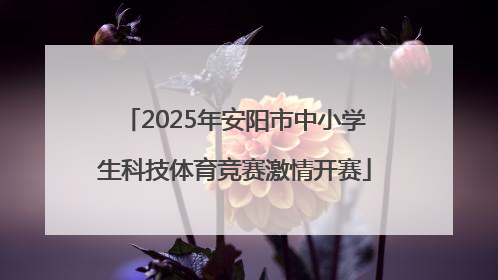 2025年安阳市中小学生科技体育竞赛激情开赛