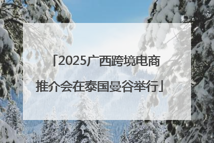 2025广西跨境电商推介会在泰国曼谷举行
