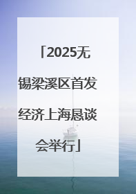 2025无锡梁溪区首发经济上海恳谈会举行