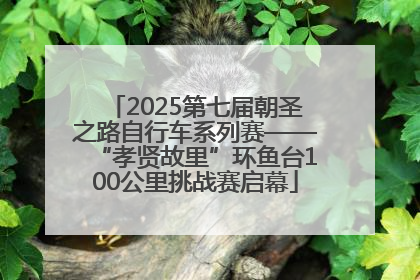 2025第七届朝圣之路自行车系列赛——“孝贤故里”环鱼台100公里挑战赛启幕