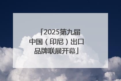 2025第九届中国（印尼）出口品牌联展开幕