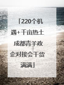 220个机遇+千亩热土 成都青羊政企对接会干货满满