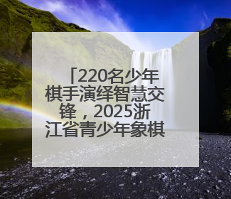 220名少年棋手演绎智慧交锋，2025浙江省青少年象棋等级赛（温州站）收官