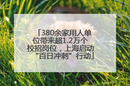 380余家用人单位带来超1.2万个校招岗位，上海启动“百日冲刺”行动