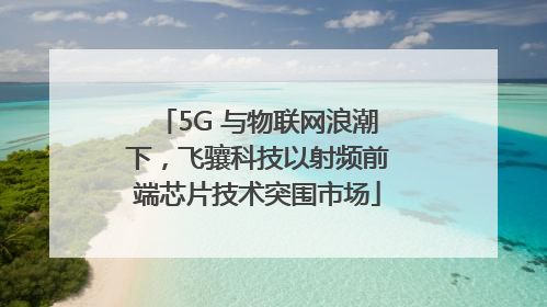 5G 与物联网浪潮下，飞骧科技以射频前端芯片技术突围市场