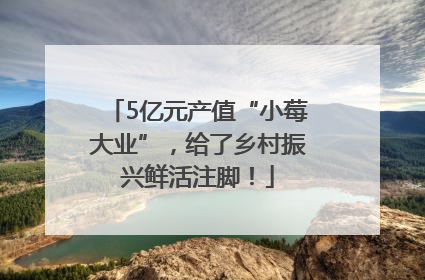 5亿元产值“小莓大业”，给了乡村振兴鲜活注脚！