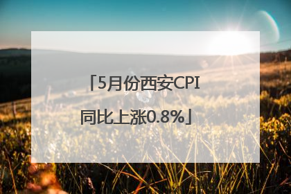 5月份西安CPI同比上涨0.8%