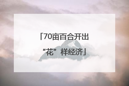 70亩百合开出“花”样经济