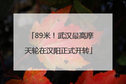 89米！武汉最高摩天轮在汉阳正式开转
