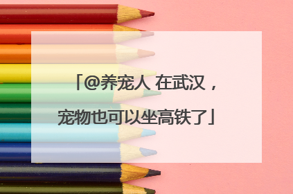 @养宠人 在武汉，宠物也可以坐高铁了