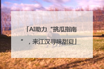 AI助力“挑瓜指南”，来江汉寻味甜夏