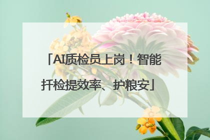 AI质检员上岗！智能扦检提效率、护粮安