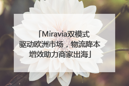 Miravia双模式驱动欧洲市场，物流降本增效助力商家出海