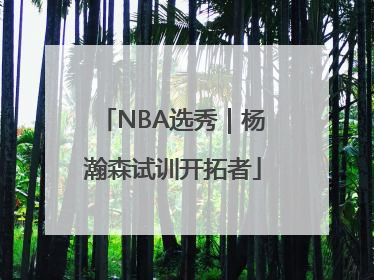 NBA选秀｜杨瀚森试训开拓者